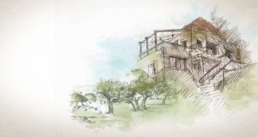 Watercolour sketch of the Ardouna stone house among the olive trees