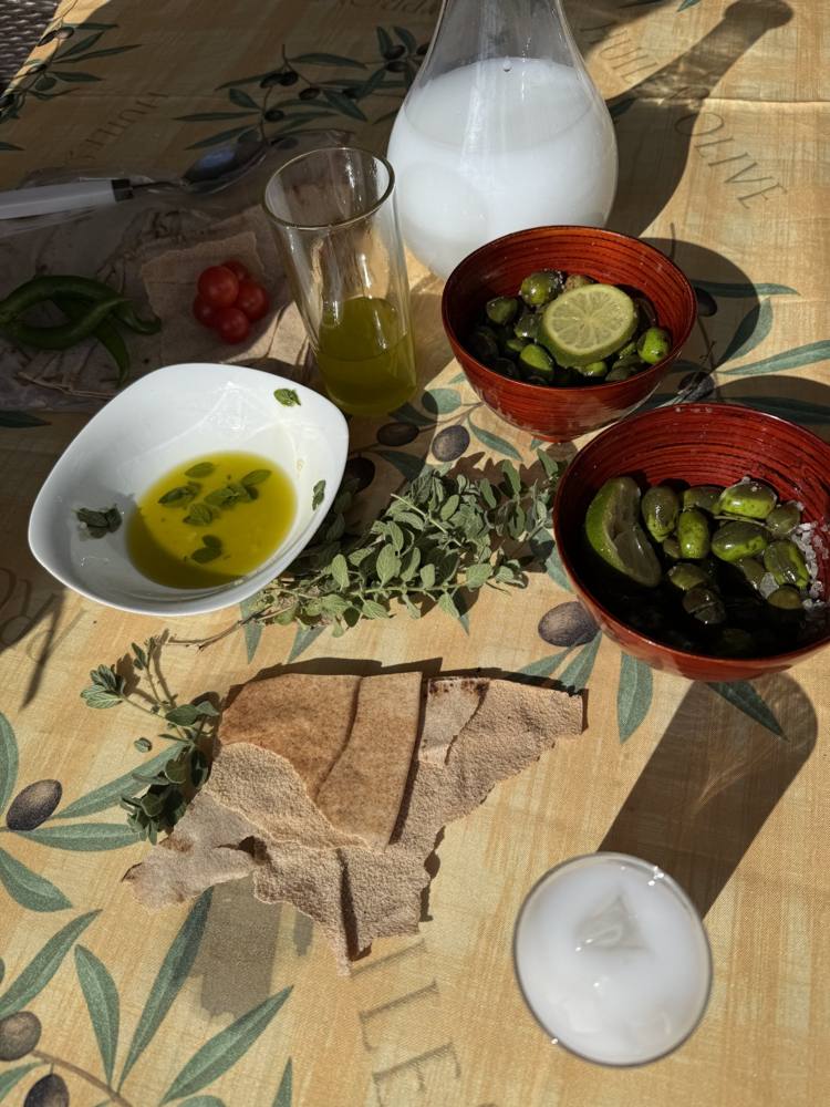 Ardouna oil served with bread, olives and fresh labneh on a table at the farm