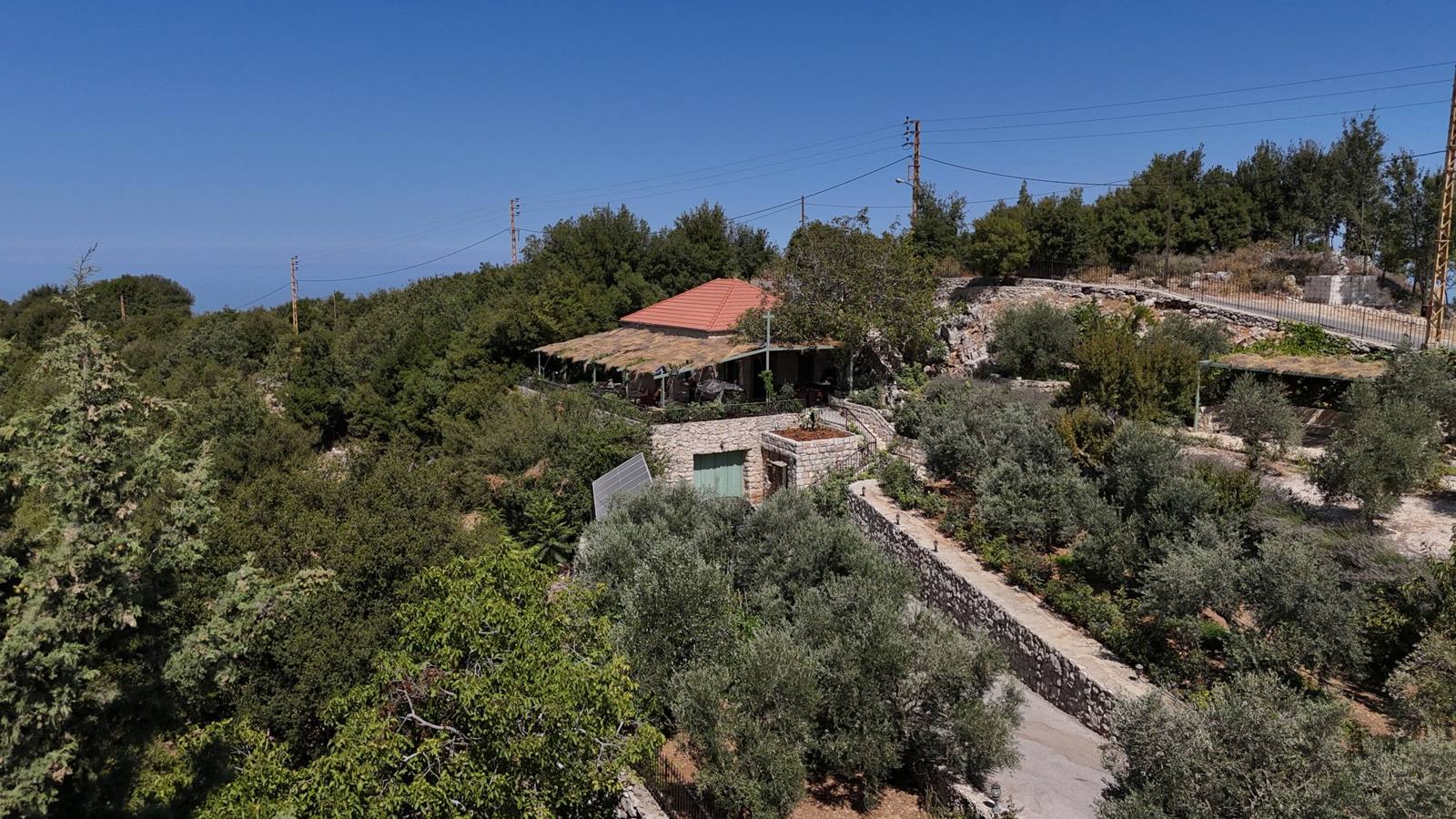 Aerial view of the stone house, its pergola and the olive trees around it