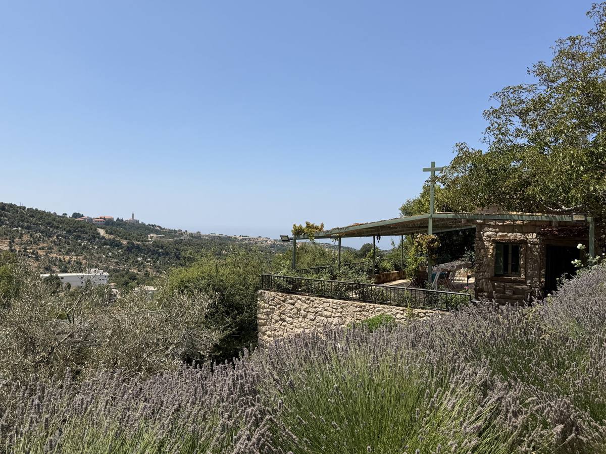 Lavender in front of the house, with the hills and the sea beyond