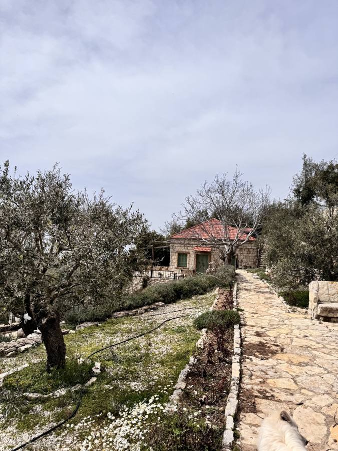 A stone path through the garden toward the house