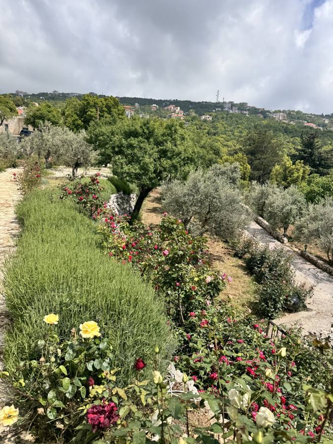 Lavender and roses in bloom on a terrace