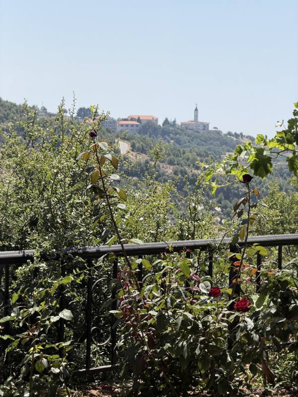 Roses on the farm terrace with the monastery of Annaya beyond